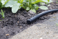 GASMIS Endstopfen für 16mm Tropfschlauch, Endstück